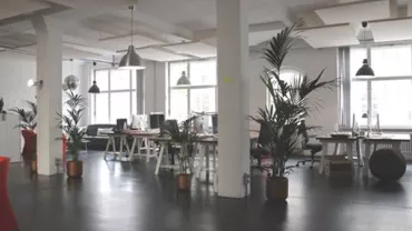 Bureau moderne à aire ouverte avec grandes fenêtres et plantes.