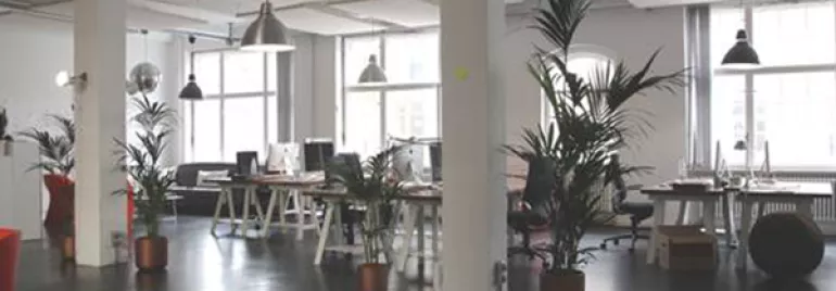 Bureau moderne à aire ouverte avec grandes fenêtres et plantes.