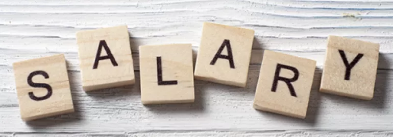 Wooden blocks spelling the word 'SALARY' on a white background.