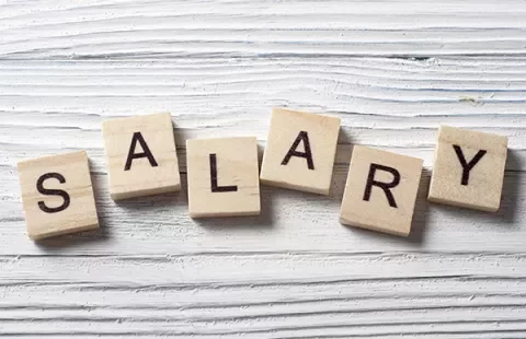 Wooden blocks spelling the word 'SALARY' on a white background.